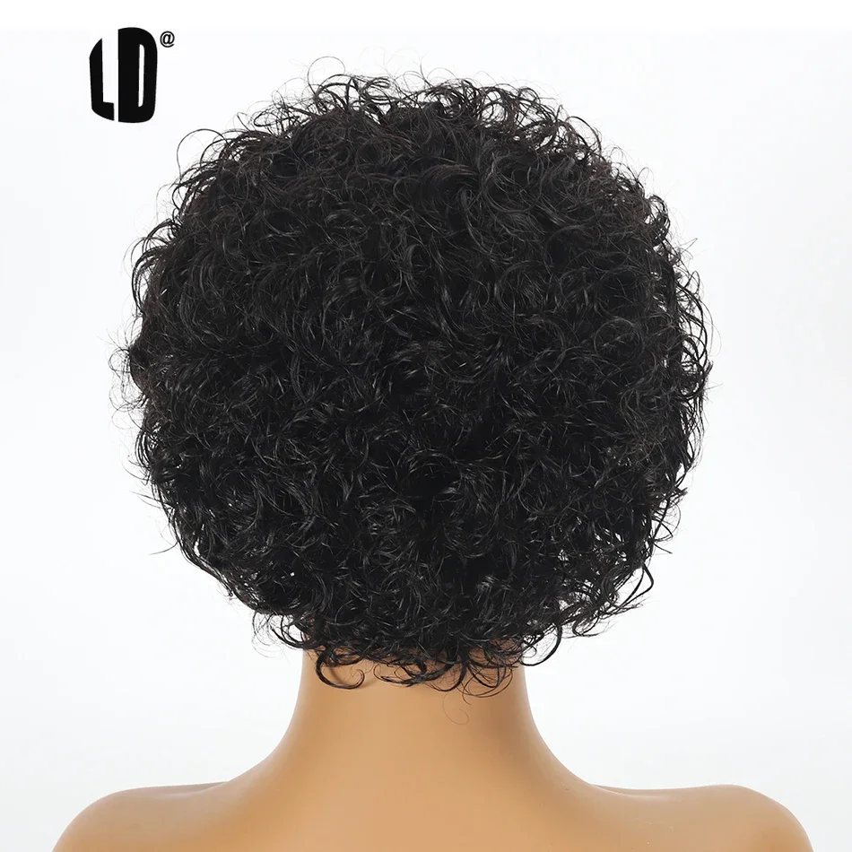 Pelucas de Cabello Humano con  - Lace Front Wigs reseña y precio